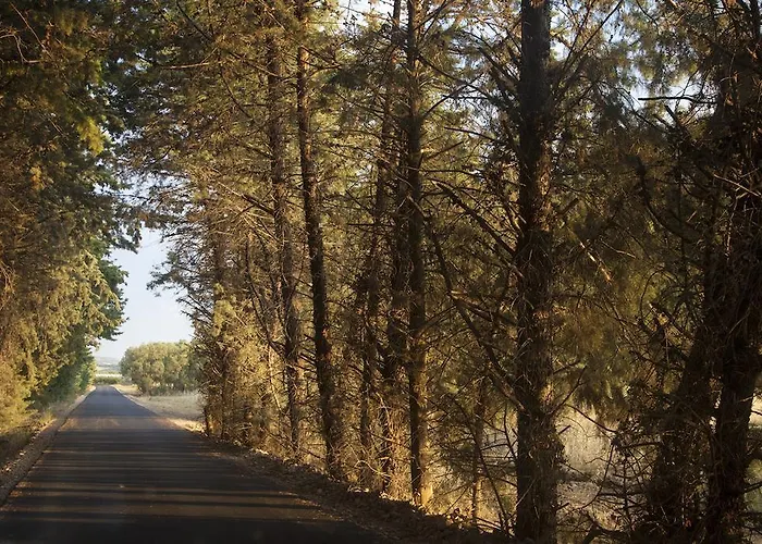 代西瑞蒂生态度假村 4*