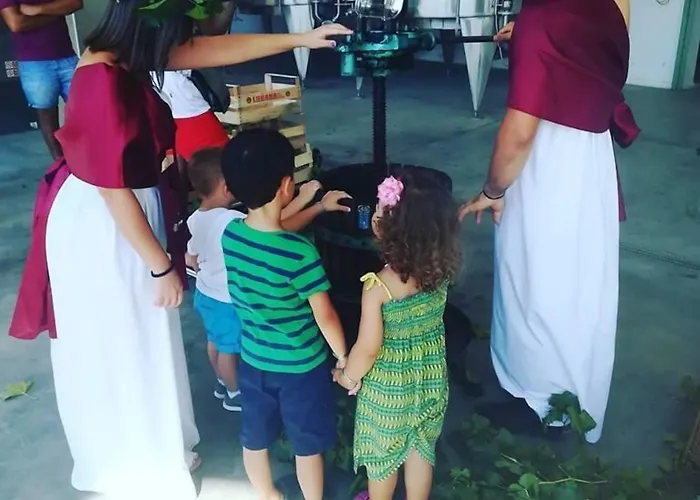 代西瑞蒂生态度假村 4* 新锡里