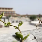 Eco Dei Siriti Resort