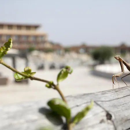 Eco Dei Siriti منتجع