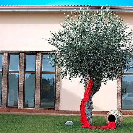 Eco Dei Siriti منتجع نوفا سيري