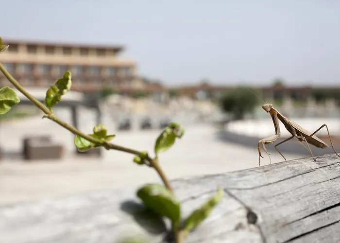 Eco Dei Siriti Resort